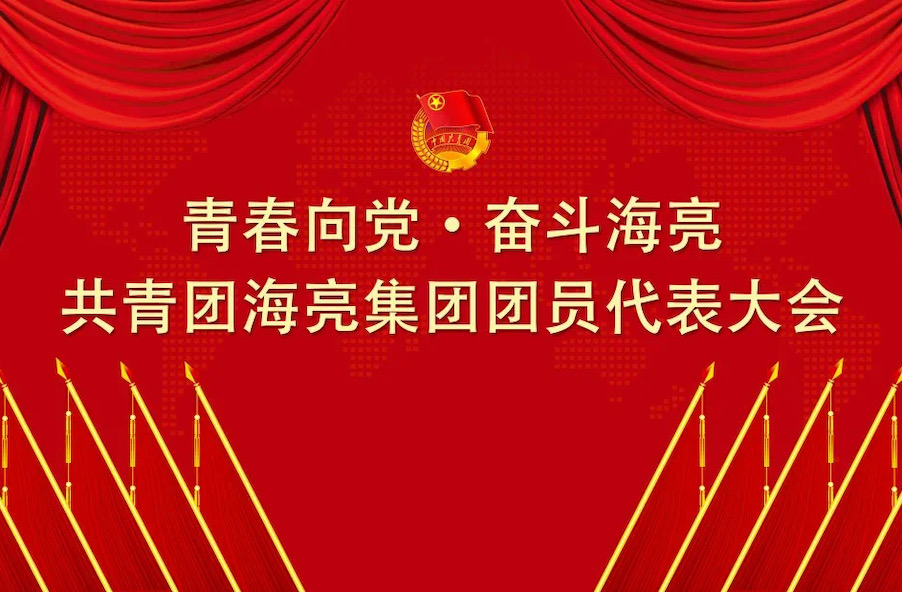 青春向党 · 奋斗球盟会丨共青团球盟会网页登录入口团员代表大会召开